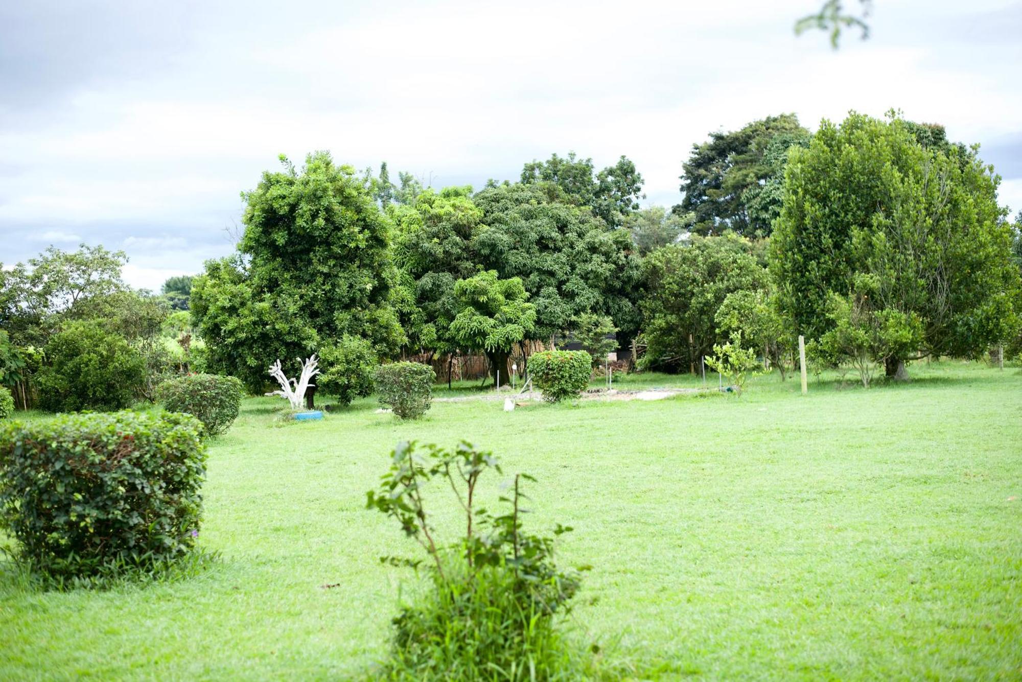 Campsite Eco Montana *