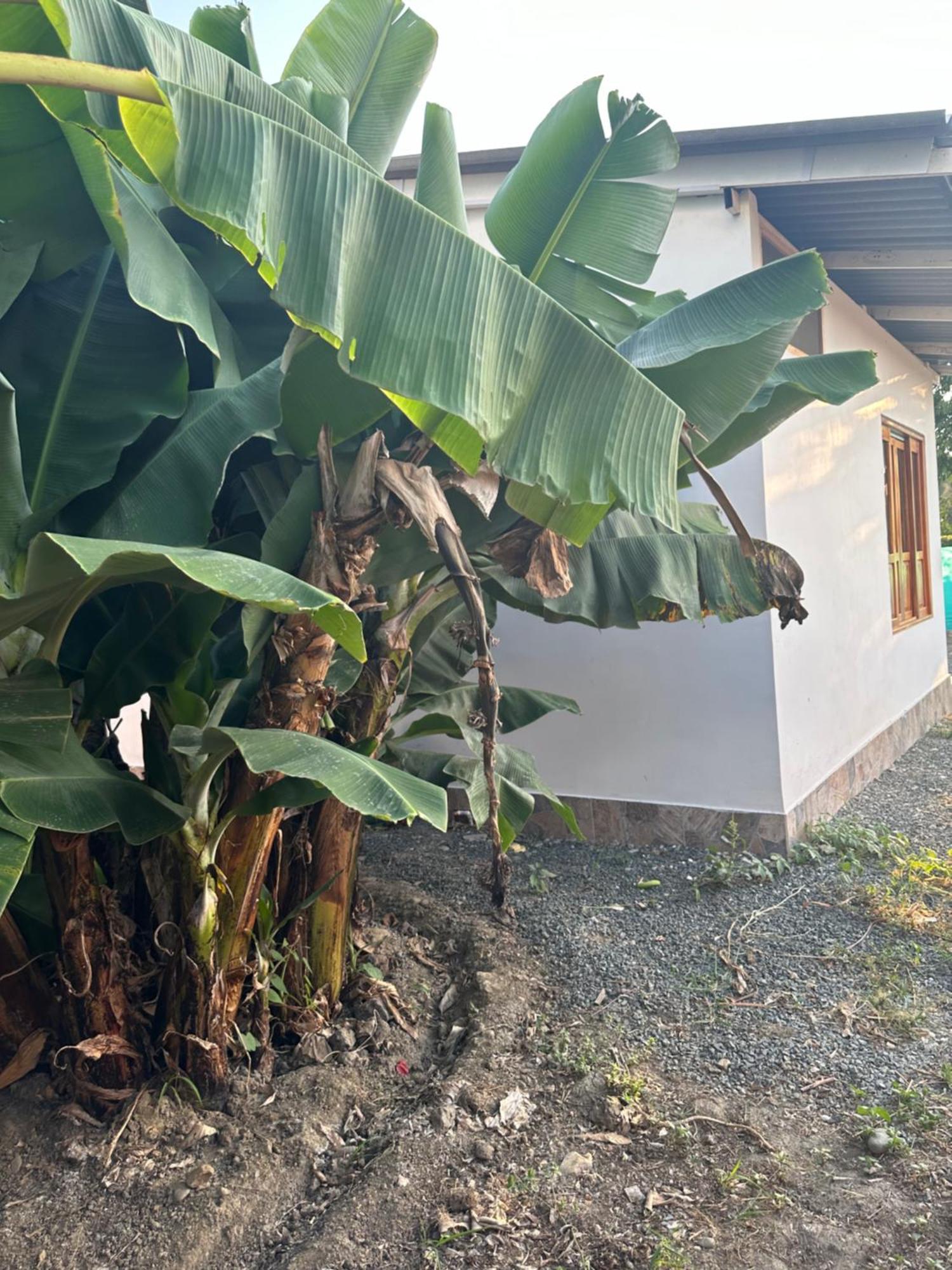 Eco Montana * Santa Elena (El Cerrito)